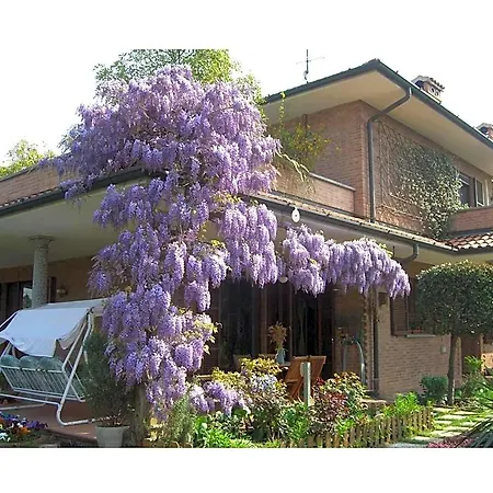 Les Fleurettes Lomazzo